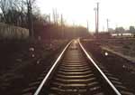 В Китае гусеницы остановили поезд В Китае гусеницы остановили поезд