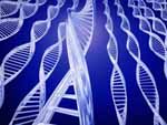  ���� ��������� � ����� �������� ��������  ����: colon-cancer101.com