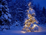�� ����� ��� � ������� ����� � ��������� ����   ���� � ����� zavarka.ru