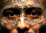 � ��������� ����������� ������������ ������