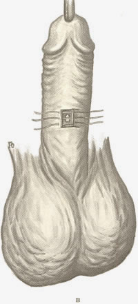 253. Операция Алиота. 253. Операция Алиота.