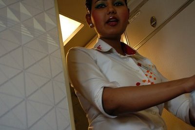 ���������� - ���������� Stewardesses