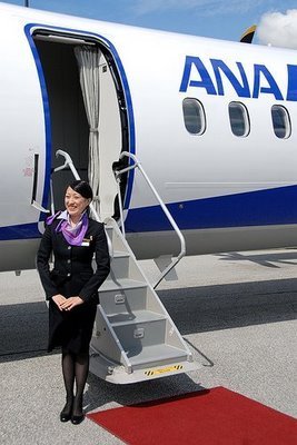 ���������� - ���������� Stewardesses