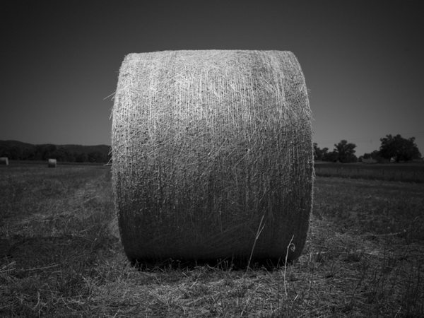 Image Image