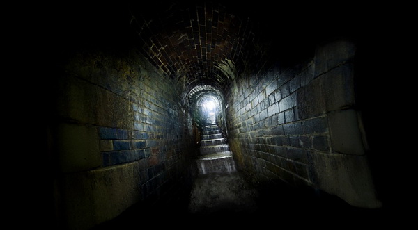 Image Image