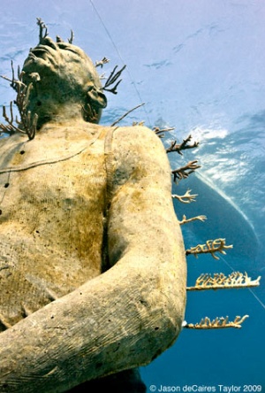 Image Image