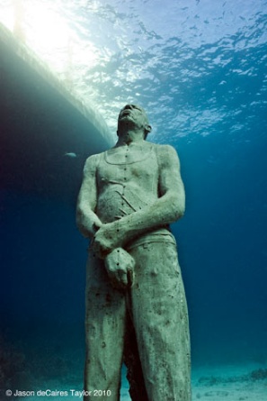 Image Image