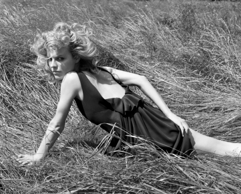 ���������� ��� ��������� �� Liz Collins 