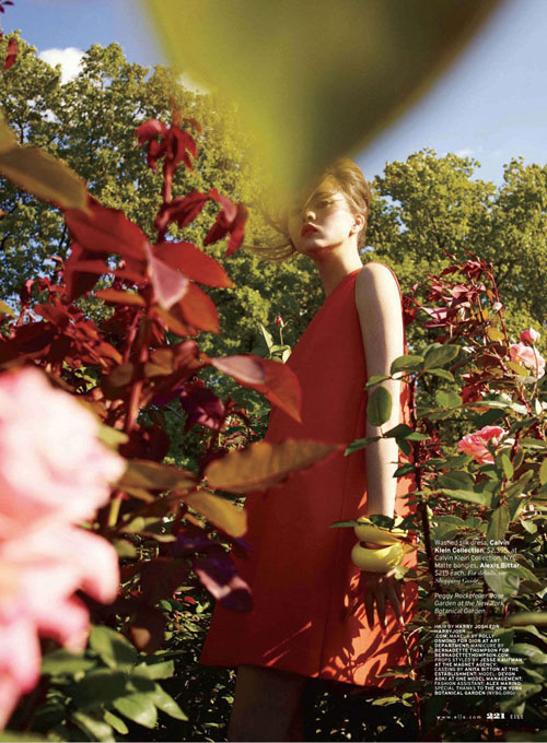 Devon Aoki Девон Аоки в цвету Devon Aoki Девон Аоки в цвету
