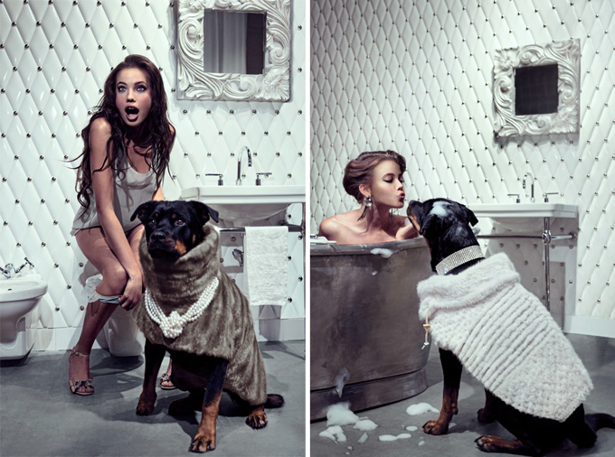 ������� ������� ������ ��� ����� Chien Bizarre