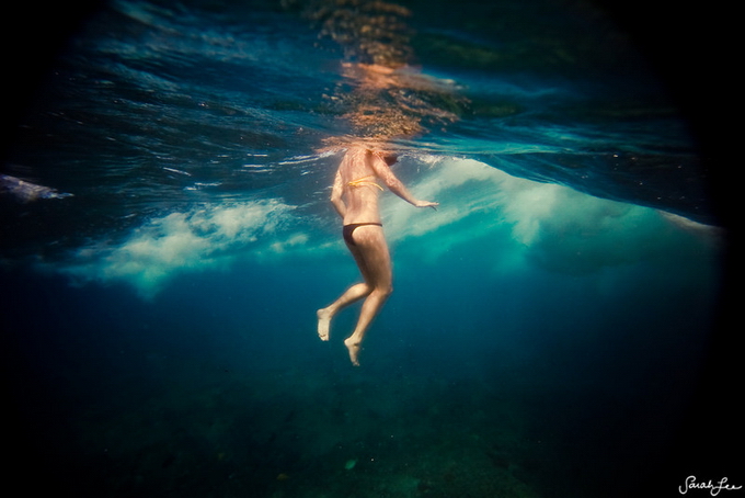 ����� ���� �� Vivant Vie