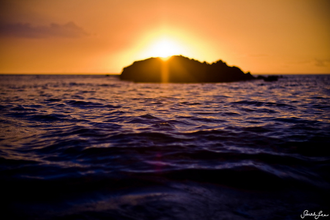 ����� ���� �� Vivant Vie