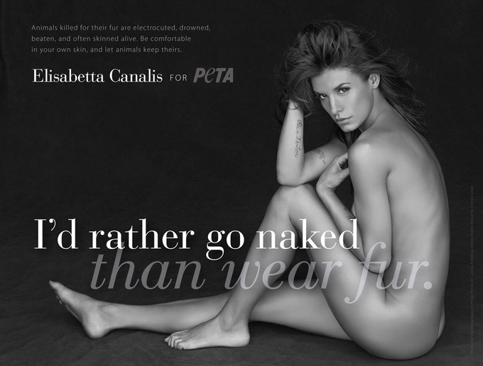 ��������� ������ � ������ Peta. ���� ������� Elisabetta Canalis