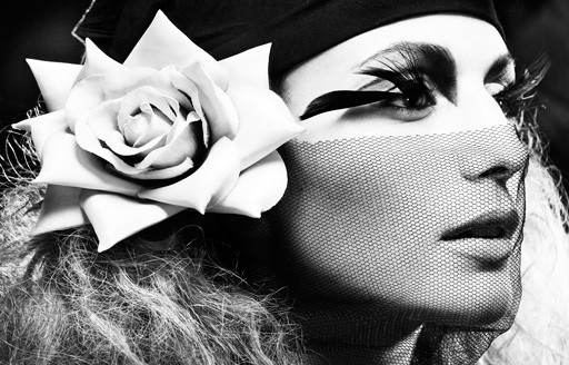 ���� �������� ������ ��������� Marcus Ohlsson