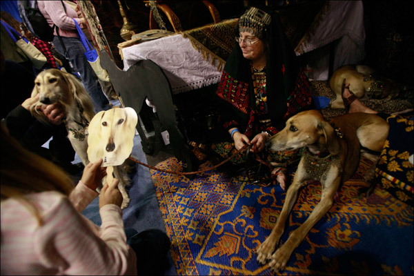 Заводчица собак породы салуки и ее питомица Рина. AP / Mary Altaffer Заводчица собак породы салуки и ее питомица Рина. AP / Mary Altaffer