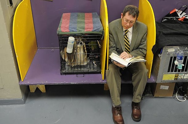 �������� ����� Westminster Kennel Club Dog Show 2010