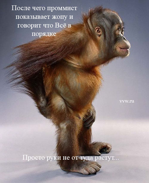 ���������� �����. ����.
