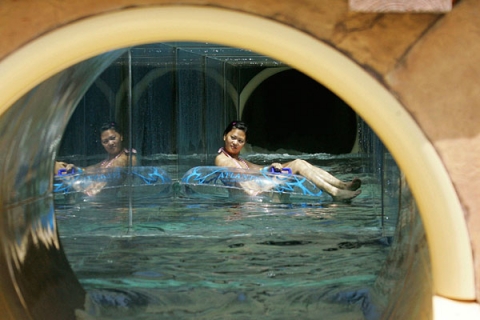 �������� ���������� ��������� Atlantis, the Palm