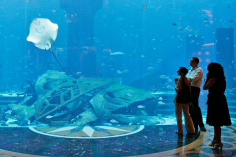 �������� ���������� ��������� Atlantis, the Palm