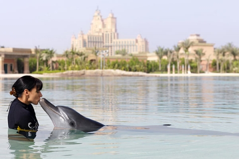 �������� ���������� ��������� Atlantis, the Palm