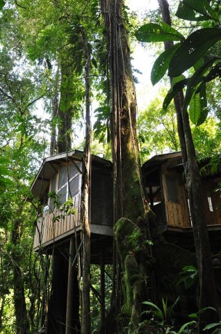 ��������� Finca Bellavista � �����-����